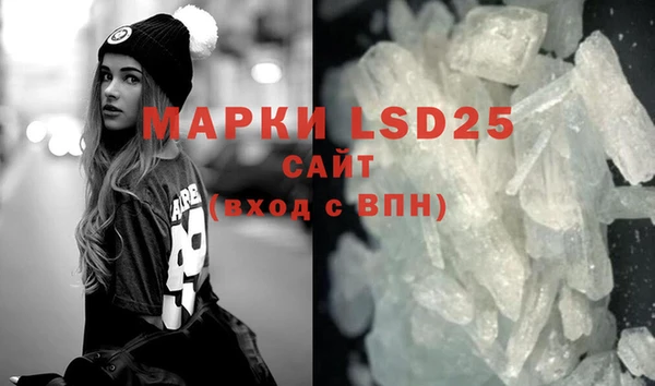 ПСИЛОЦИБИНОВЫЕ ГРИБЫ Лихославль
