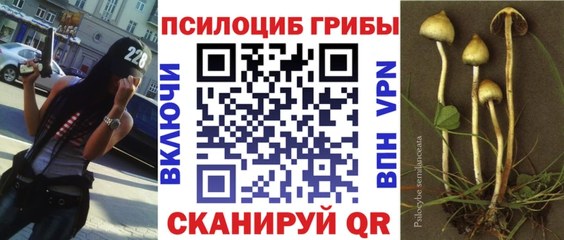 Псилоцибиновые грибы мицелий  Лодейное Поле 