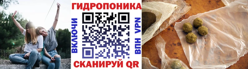 Конопля Amnesia  Лодейное Поле 